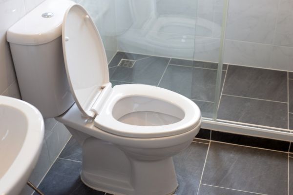 Toilet Replacement in Millsboro