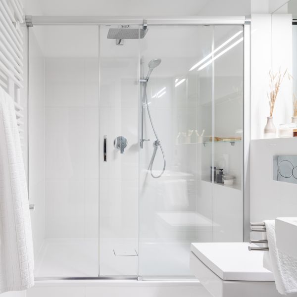 Shower Repair in Millsboro