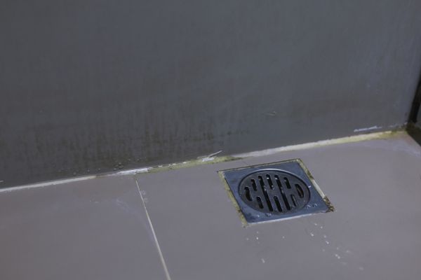 Bathroom Drain Installation in Millsboro